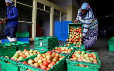 Al MILS la Mostra  per l’ “Anno Internazionale della frutta e verdura”